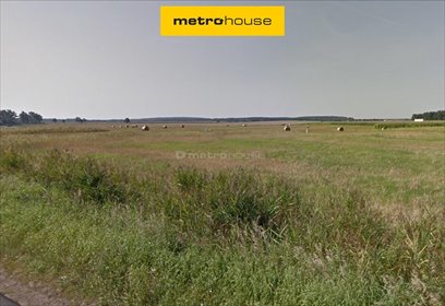 działka na sprzedaż 45100m2 działka Trzcielin