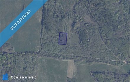 działka na sprzedaż 3020m2 działka Pręgowo