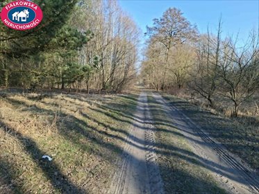 Działka 3748 m² pod dom lub inwestycję w Radziwiłłowie. działka Radziwiłłów