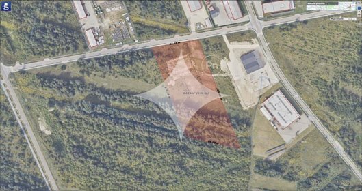 działka na sprzedaż 15600m2 działka Kornica