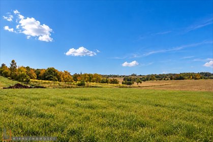 działka na sprzedaż 3000m2 działka Smardzowice