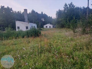 Działka budowlana na sprzedaż Biele 6 900m2 Foto 1
