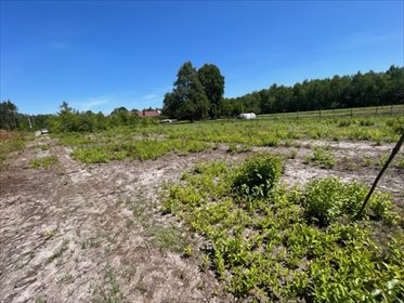 działka na sprzedaż 1000m2 działka Pysznica, Podlesie