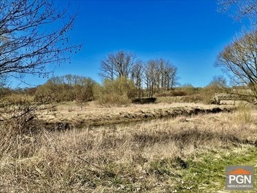 Działka 1000 m² pod zabudowę w Trzebiatowie z dostępem do rzeki działka Trzebiatów