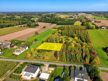 działka na sprzedaż 1200m2 działka Bechcice-Kolonia
