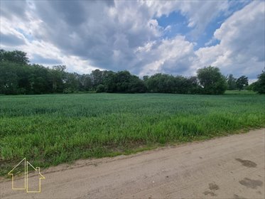 Działka rekreacyjna 4157 m² z mediami, podział na 4 zapraszam działka Białobrzegi, Kępska