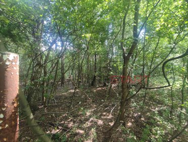 działka na sprzedaż 1962m2 działka Sade Budy