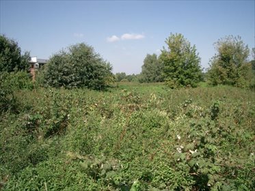 działka na sprzedaż 1628m2 działka Warszawa, Wawer, Zerzeń, Zwoleńska