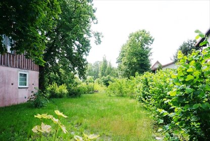 działka na sprzedaż 2398m2 działka Stegna