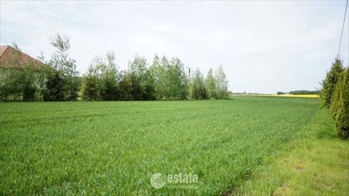 Działka budowlana na sprzedaż Juszczyn, budowlana /Juszczyn-między Wrocławiem a Środą 1 454m2 Foto 2