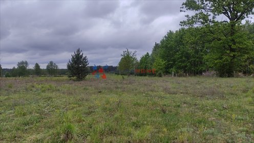 działka na sprzedaż 1217m2 działka Sierzchów