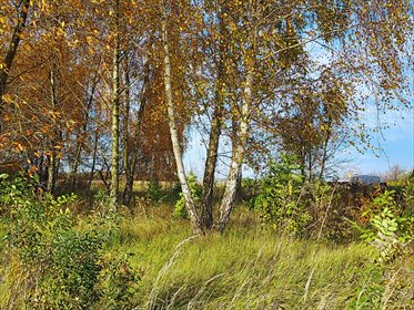 działka na sprzedaż 1544m2 działka Sady, Topolowa