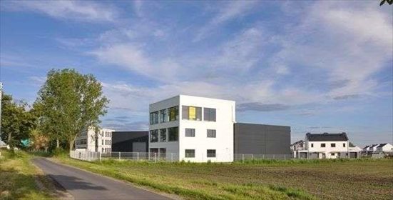 magazyn na wynajem 630m2 magazyn Sady, Jeżynowa