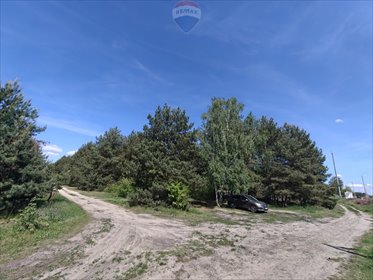 Działka 5500 m² z potencjałem inwestycyjnym w Michałowie działka Michałów