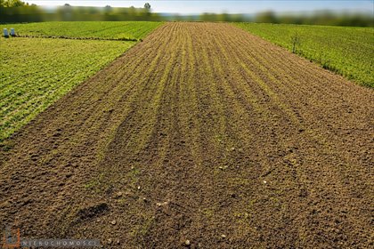Polecam działkę 806 m² w Krakowie Prądnik Biały działka Kraków, Prądnik Biały, Tonie