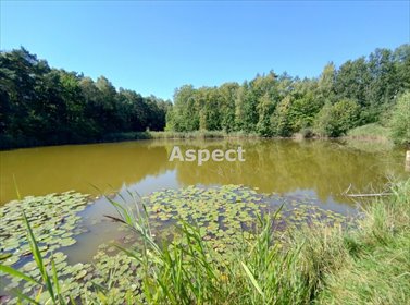 działka na sprzedaż 4950m2 działka Rybnik