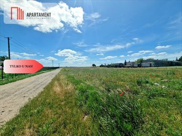 działka na sprzedaż 1000m2 działka Aleksandrowo