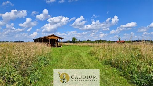 Urokliwy dom 35 m² z dużą działką 2711 m². dom Polajny