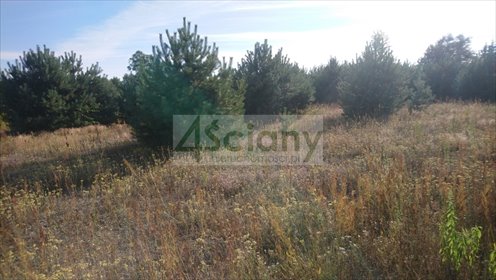 działka na sprzedaż 1574m2 działka Marysin