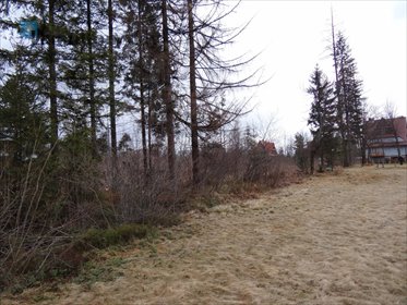 działka na sprzedaż 3342m2 działka Kościelisko, Kościelisko, Stanisława Nędzy-Kubińca