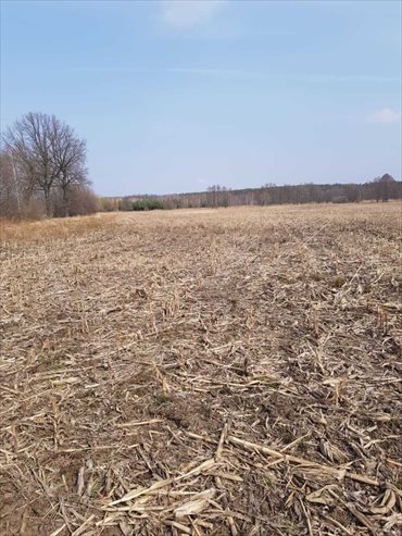 działka na sprzedaż 30000m2 działka Miłocice, Miłocice