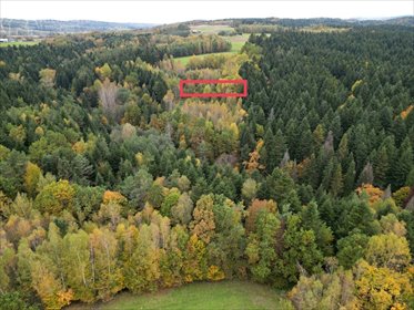 działka na sprzedaż 1030m2 działka Strzeszyn