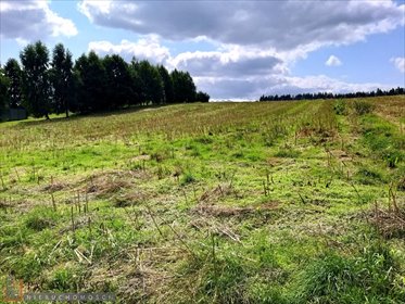 działka na sprzedaż 5529m2 działka Sułkowice