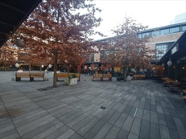 mieszkanie na wynajem 76m2 mieszkanie Warszawa, Śródmieście, Koszykowa