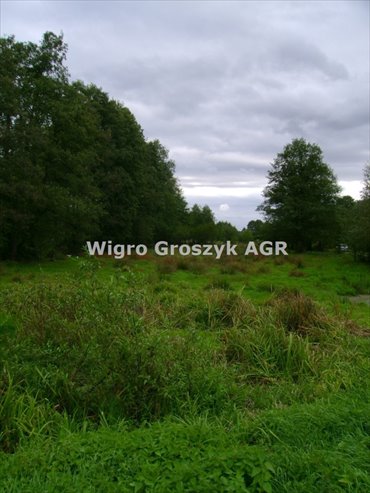 działka na sprzedaż 29500m2 działka Brzozówka