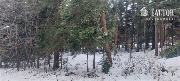 Widokowa działka 60 arów z mediami i potokiem działka Biała Niżna