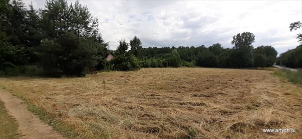 Urokliwy dom 90 m² z dużą działką 3035 m² polecam dom Wyrąb