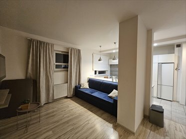 Dwupokojowe mieszkanie z tarasem 40 m², pełne umeblowanie mieszkanie Łódź, Polesie, Retkinia, Pienista