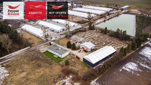 lokal użytkowy na sprzedaż 1109m2 lokal użytkowy Strzebielino, Stanisława Witkacego