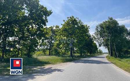 Na sprzedaż działki budowlane 6 717 m² w Kotowicach działka Kotowice, Kotowice, Kotowice
