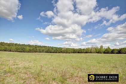 Działka 5200m² z możliwością podziału i zabudowy. działka Krzywe