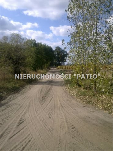 Działka budowlana na sprzedaż Czarne Piątkowo 19 500m2 Foto 7