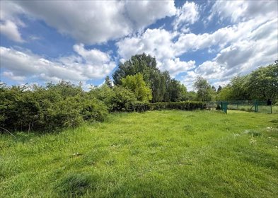 Działka budowlana z brzozami, 1004 m², Golęcin działka Poznań, Golęcin, Szczawnicka