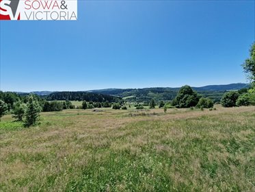 działka na sprzedaż 4490m2 działka Sierpnica