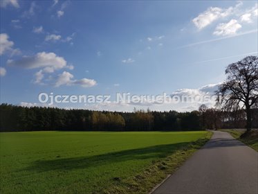 działka na sprzedaż 10779m2 działka Gzin Górny