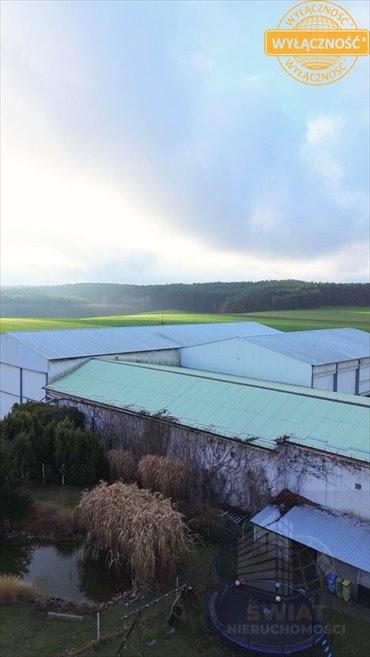 Magazyn na sprzedaż Dobiegniew 2 162m2 Foto 5