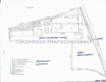 Magazyn na sprzedaż Inowrocław 4 614m2 Foto 3