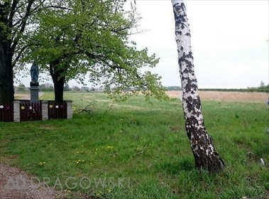 działka na sprzedaż 11000m2 działka Duchnice