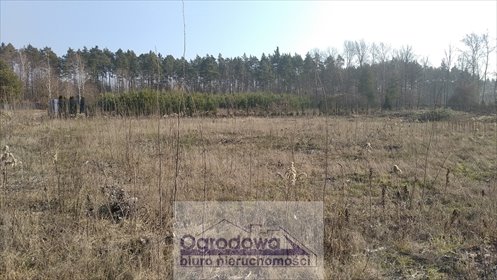 Do sprzedania działka 1000 m² pod zabudowę w Krupiej Wólce działka Krupia Wólka