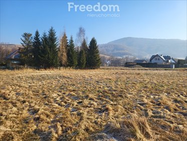 działka na sprzedaż 2214m2 działka Rzyki