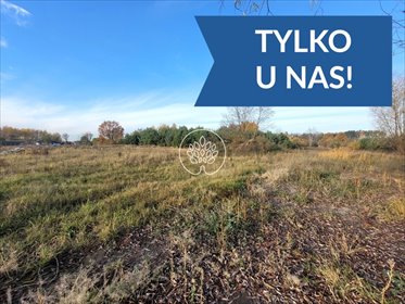 Działka 800 m² w Żołędowie z warunkami zabudowy działka Żołędowo