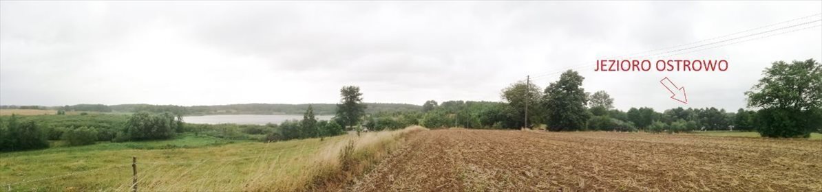 Działka rolna na sprzedaż Jeleń 5 141m2 Foto 2