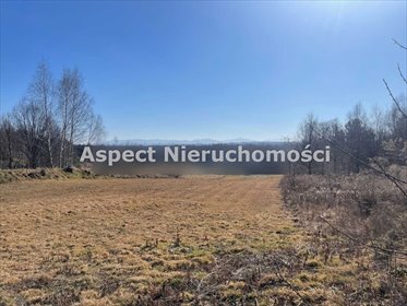 Działka budowlana na sprzedaż Skrzyszów 2 700m2 Foto 3