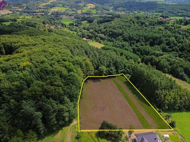 działka na sprzedaż 8600m2 działka Chmielnik
