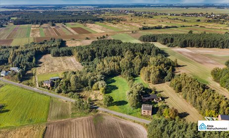 Dom na sprzedaż Dankowice Trzecie 224m2 Foto 2