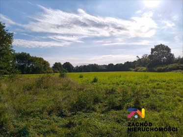 Zapraszam do obejrzenia działki 40 400 m² w Przytoku z możliwością dotacji działka Przytok